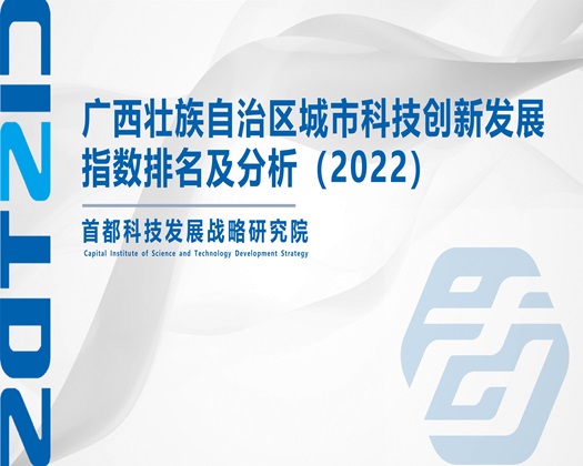 男生的鸡巴插入女生的下面视频观看网站【成果发布】广西壮族自治区城市科技创新发展指数排名及分析（2022）